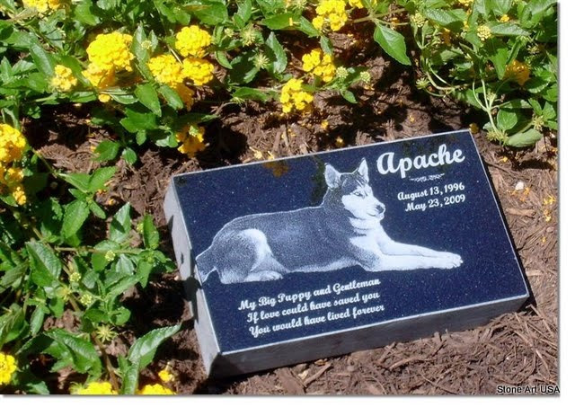 35 Marvelous Burying Pets In Backyard – Home, Family, Style and Art Ideas