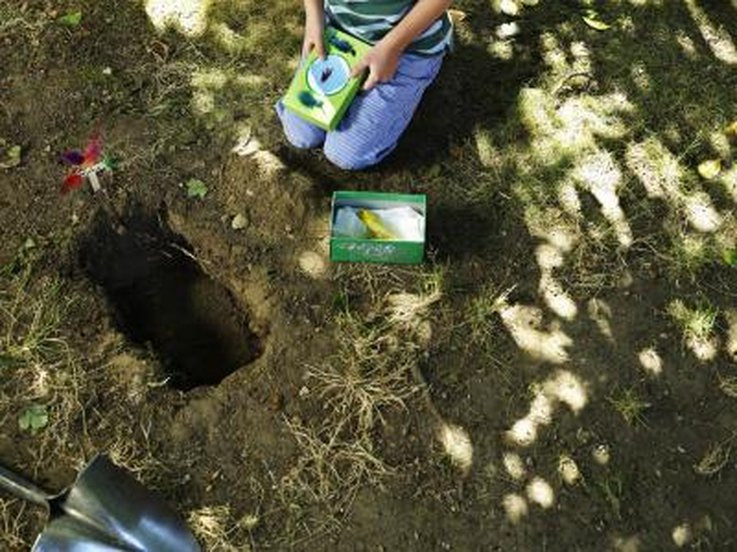 Burying Pets In Backyard
 How to Bury a Pet at Home