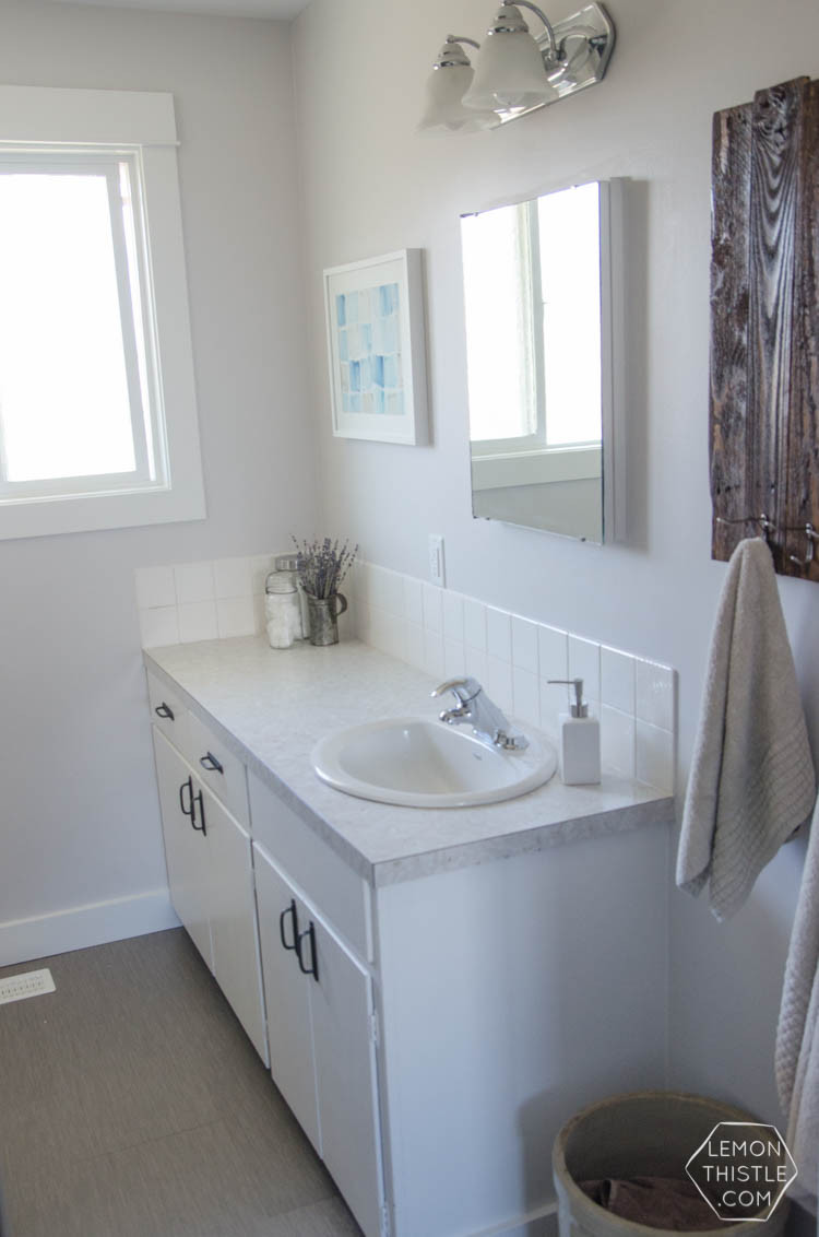 Buying Bathroom Tile
 A DIY Bathroom Renovation Phase1 5 Lemon Thistle