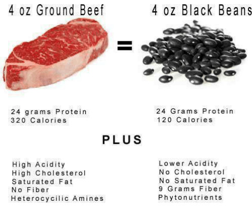 Calories In 4 Oz Ground Beef
 4 Oz Ground Beef 4 Oz Black Beans 24 Grams Protein 320