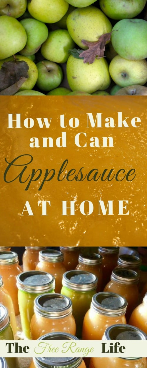 Canning Homemade Applesauce
 Canning Applesauce Super Easy Homemade Applesauce
