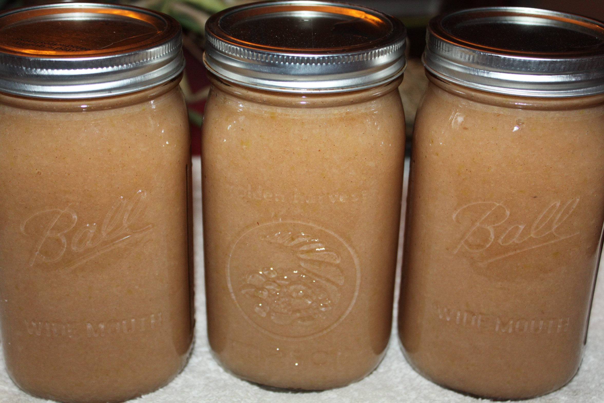 Canning Homemade Applesauce
 The Secrets to Canning Apple Sauce Recipe of the Week