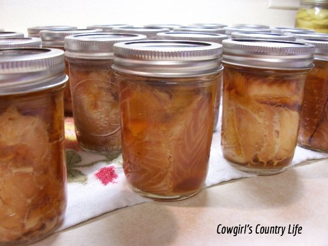 Canning Smoked Salmon
 Cowgirl s Country Life Cold Smoking and Canning Salmon