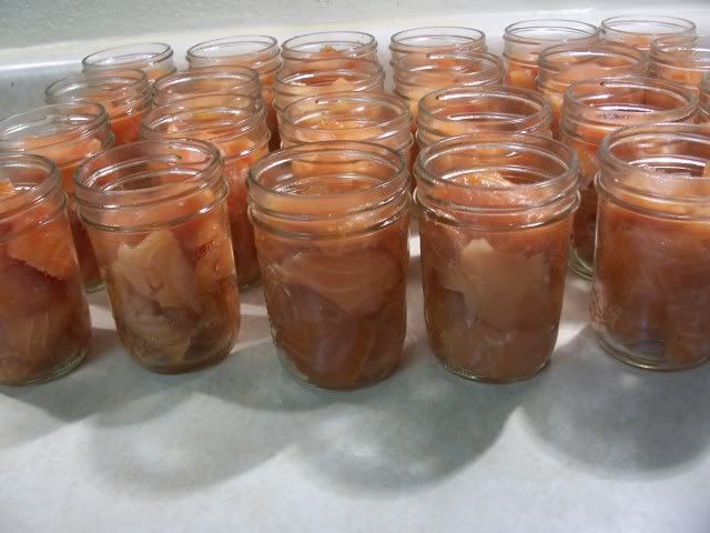 Canning Smoked Salmon
 Cowgirl s Country Life Cold Smoking and Canning Salmon