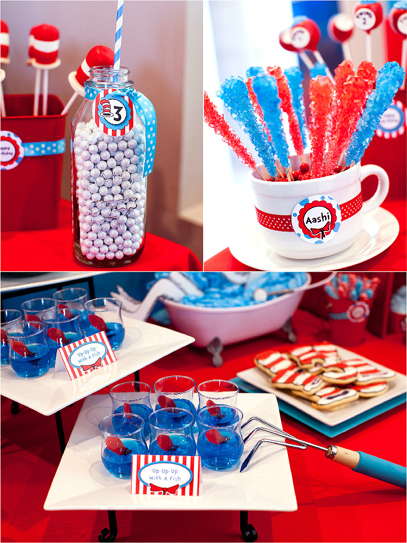 Cat In The Hat Birthday Party Ideas
 Cat in The Hat Inspired 3rd Birthday Party Party Ideas