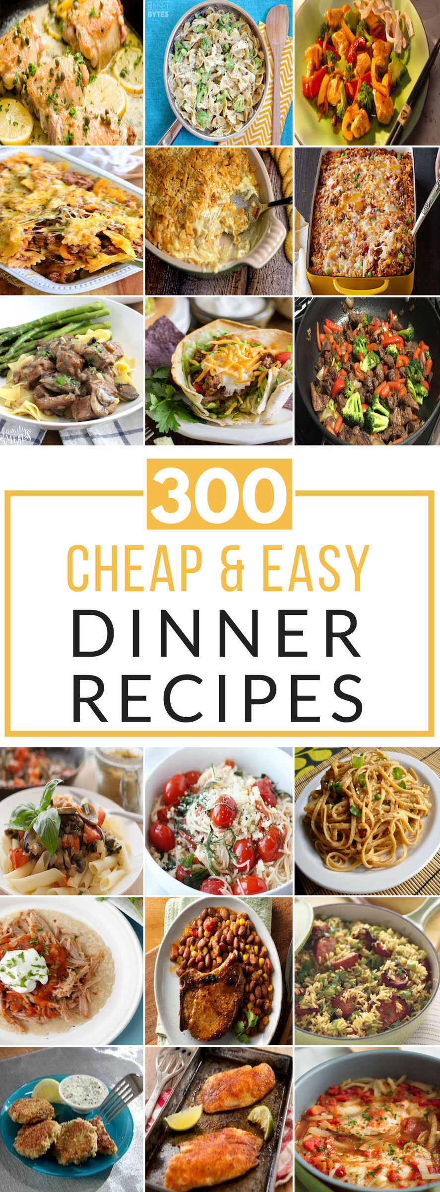 Cheap Dinner Ideas
 300 Cheap and Easy Dinner Recipes Prudent Penny Pincher