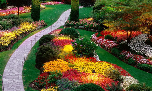 Chicago Landscape Design
 Landscape Design Chicago IL Arbor Tree Care