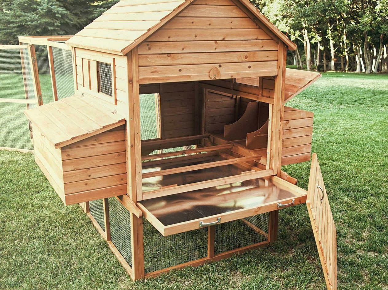 Chicken Coop DIY Plans
 15 Creative and Low Bud DIY Chicken Coop Ideas for Your