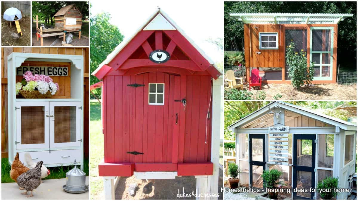 Chicken Coop DIY Plans
 57 DIY Chicken Coop Plans in Easy to Build Tutorials 100