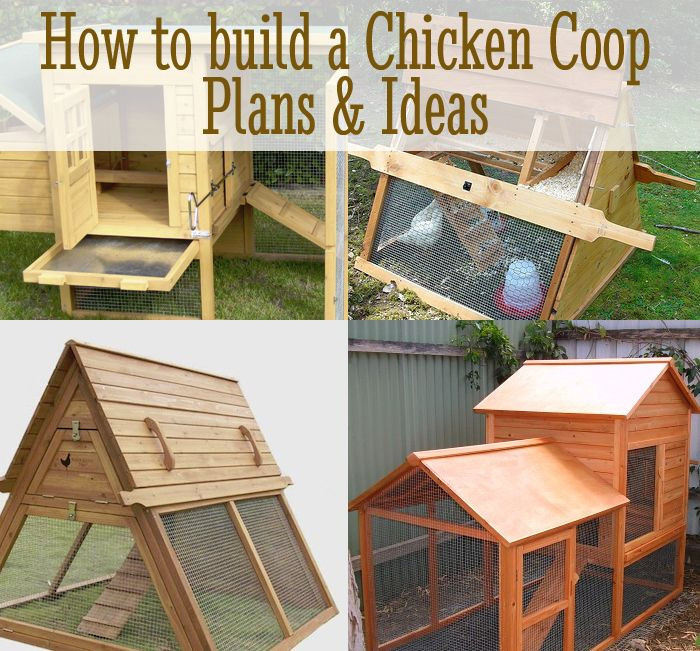 Chicken Coop DIY Plans
 108 best COOP BUILDING PLANS images on Pinterest