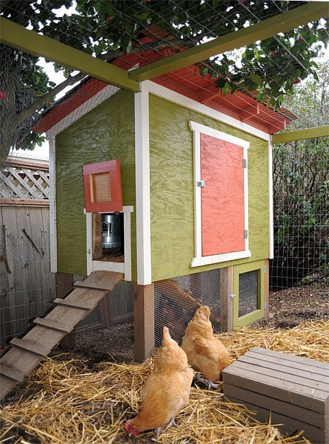 Chicken Coop DIY Plans
 61 DIY Chicken Coop Plans That Are Easy to Build Free