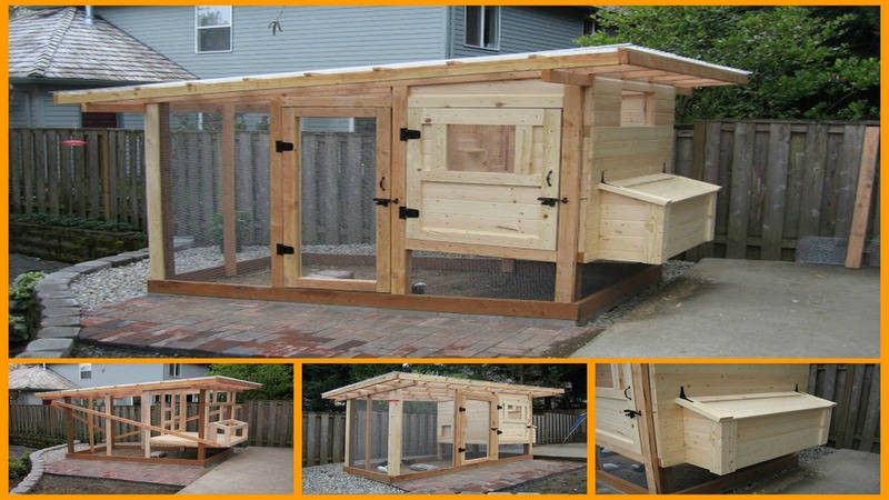 Chicken Coop DIY Plans
 DIY Chicken Coop Plans