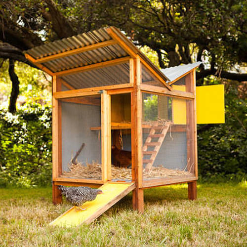 Chicken Coop DIY Plans
 DIY Chicken Coops Even Your Neighbors Will Love