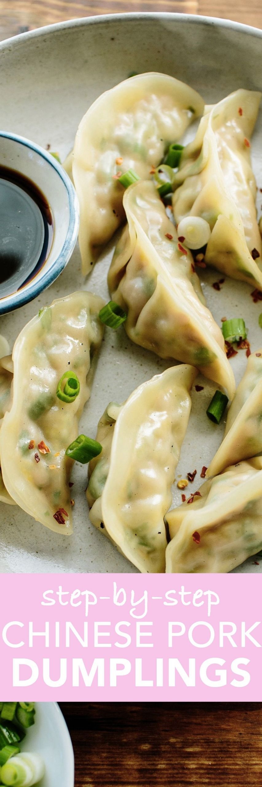 Chinese Dumpling Recipes
 How To Make Pork Dumplings Recipe