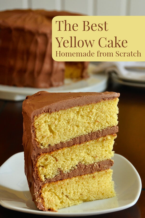 Chocolate Birthday Cake Recipes From Scratch
 The Best Yellow Cake Recipe Homemade from Scratch Rock