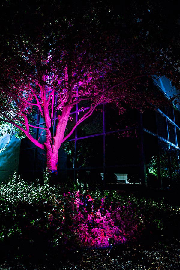 Color Landscape Lights
 6W Color Changing RGB LED Landscape Spotlight remote sold