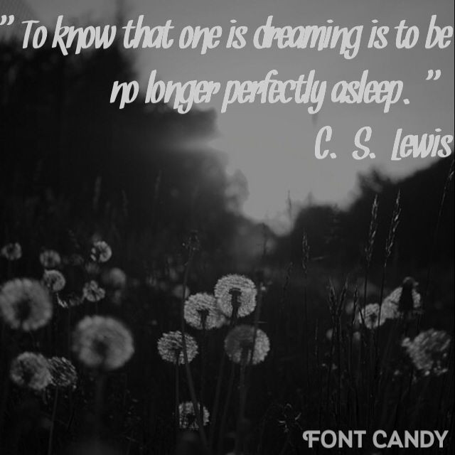 Cs Lewis The Four Loves Quotes
 C S Lewis The Four Loves quote C S Lewis