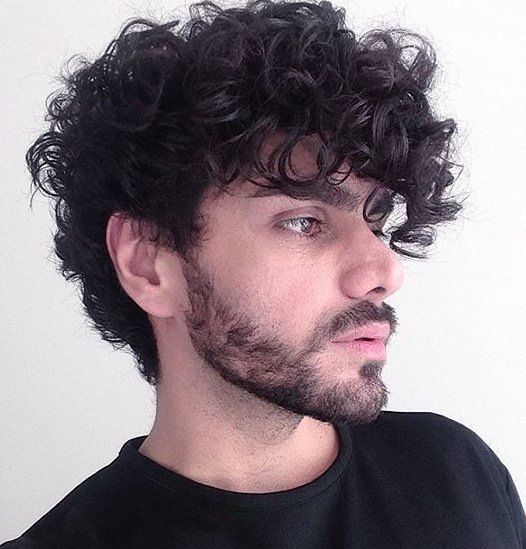 Curly Hair Haircuts For Guys
 Curly Men Hairstyles and Haircuts Guides