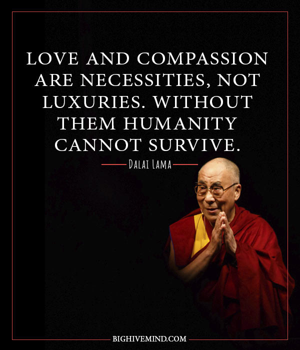Dalai Lama Love Quotes
 50 Thought Provoking Dalai Lama Quotes Big Hive Mind