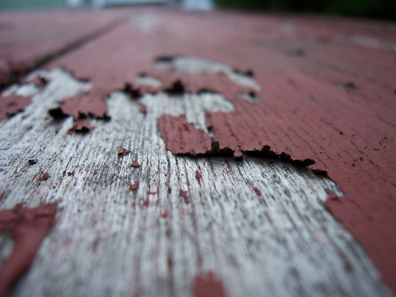 Deck Stain Vs Paint
 Decking 101 Stain vs Paint vs Seal