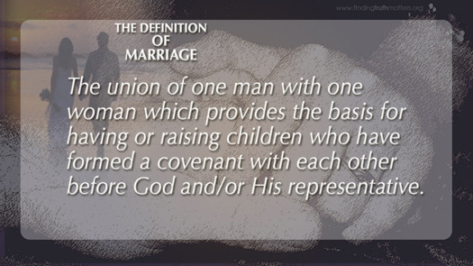 Definition Of Marriage Quotes
 Defining Marriage Quotes QuotesGram