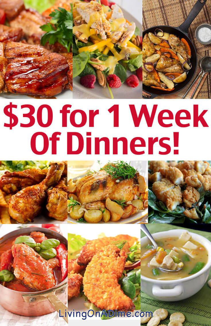 Dinners For The Week Ideas
 Cheap Family Dinner Ideas $30 for 1 Week of Dinners