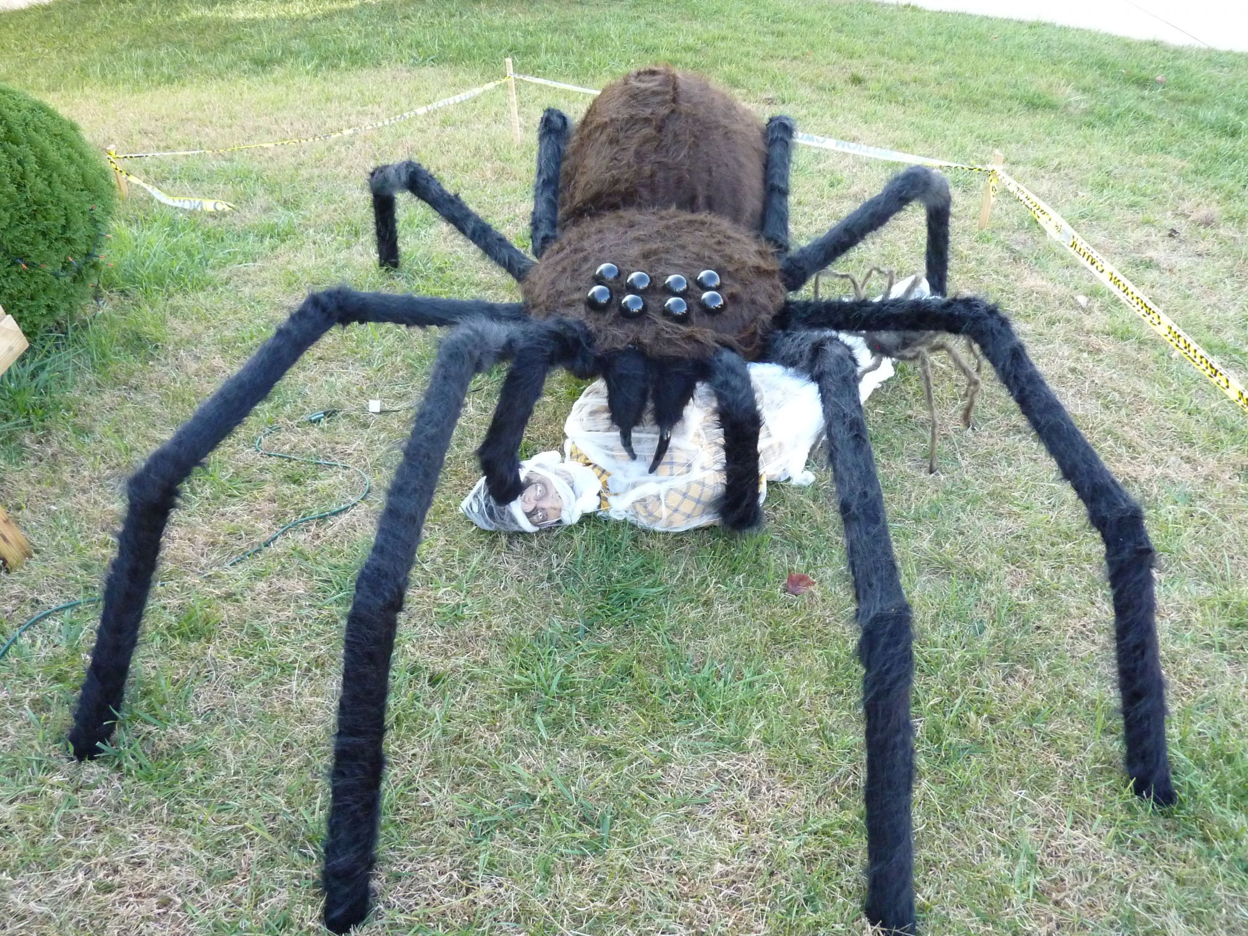 DIY Giant Spider Decoration
 Homemade Giant 10 Spider Prop made in 2010
