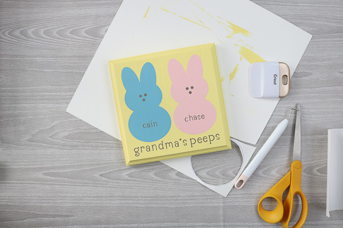 DIY Gifts For Grandma On Mother'S Day
 DIY Grandma Gift for Spring with Your Cricut The Country