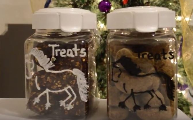 DIY Horse Gifts
 10 DIY Christmas Gifts For Equestrians Bud Equestrian