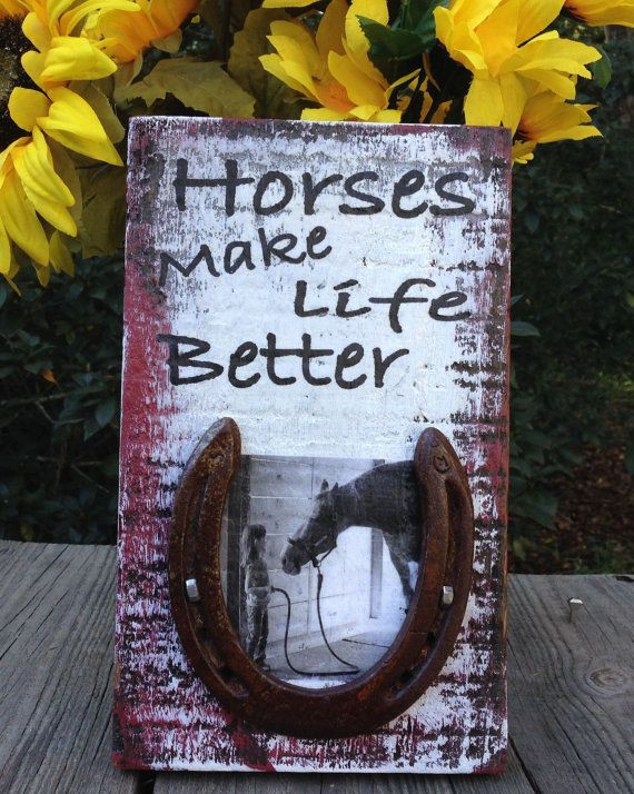 DIY Horse Gifts
 359 best images about Savvy Horse DIY Crafts & Gifts on