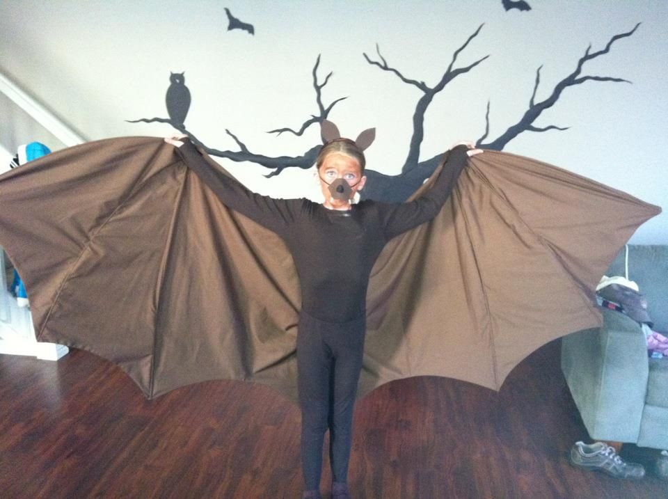 DIY Kids Bat Costume
 Fruit Bat costume Halloween Costumes DIY Kids