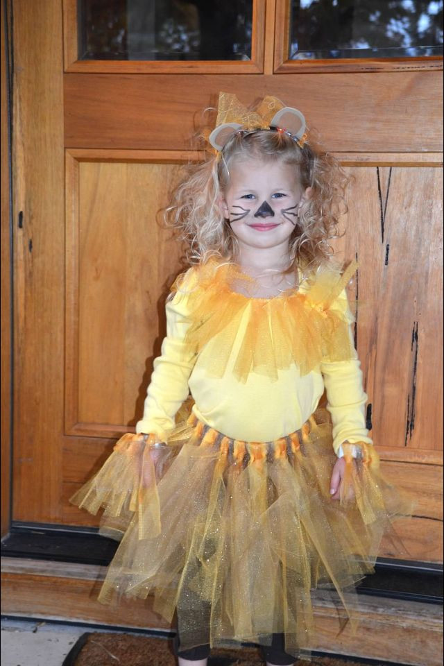 DIY Kids Lion Costume
 DIY lion tutu costume Pinterest made me do it