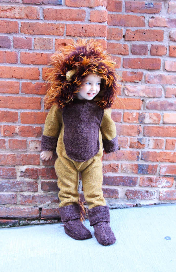 DIY Kids Lion Costume
 Craftionary