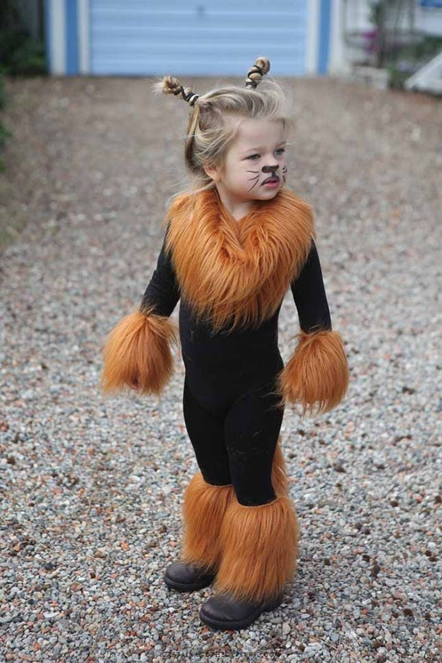 DIY Kids Lion Costume
 50 Last Minute DIY Halloween Costumes for Kids