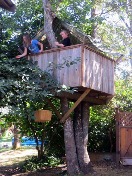 DIY Kids Treehouse
 15 Lovely DIY Treehouses Make Your Kids Dream e True