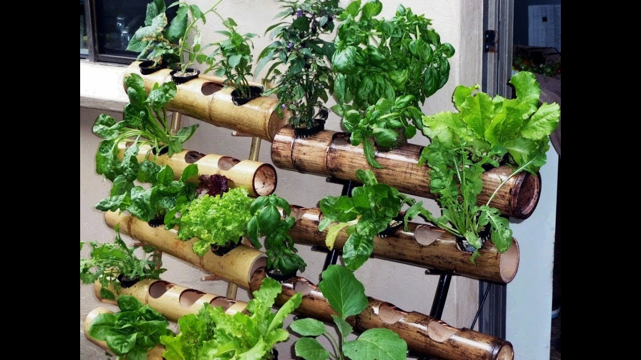 DIY Landscape Planner
 DIY vertical garden design ideas