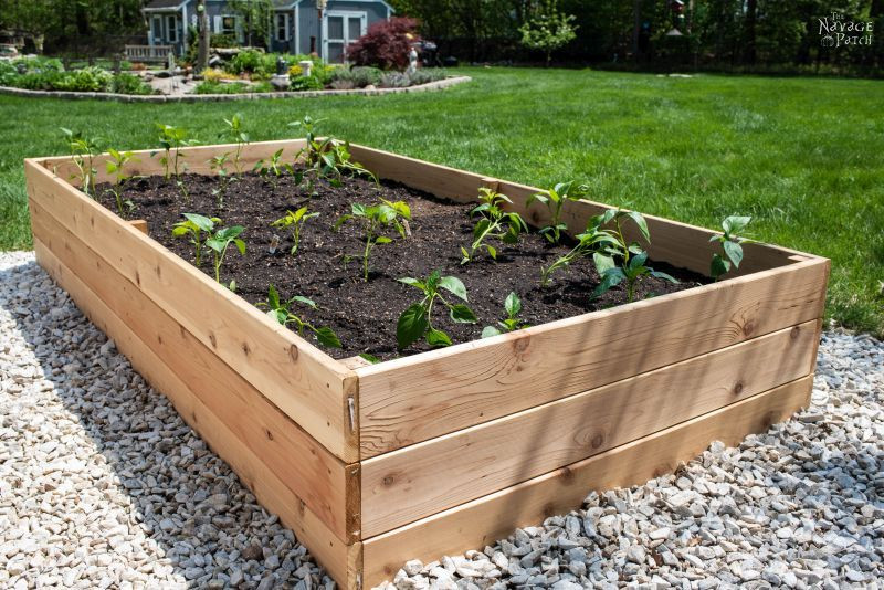 DIY Plans For Raised Beds
 DIY Raised Garden Beds Tutorial The Navage Patch