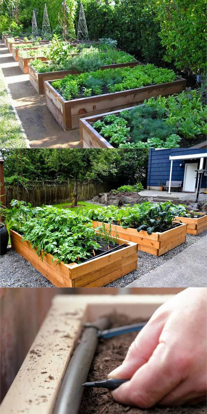 DIY Plans For Raised Beds
 All About DIY Raised Bed Gardens Part 1 A Piece Rainbow