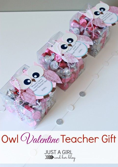 DIY Valentines Gift For Teachers
 Owl Valentine Teacher Gift DIY Ideas