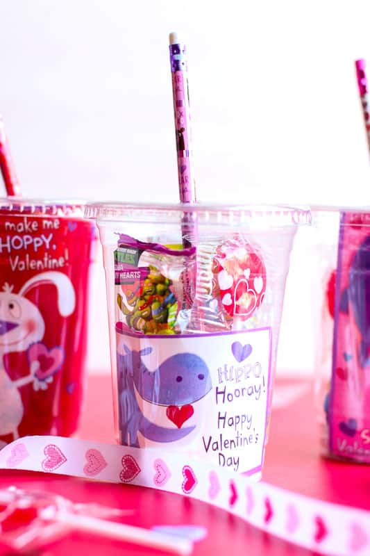 DIY Valentines Gift For Teachers
 DIY Valentine s Day Gifts for Students From Teachers A