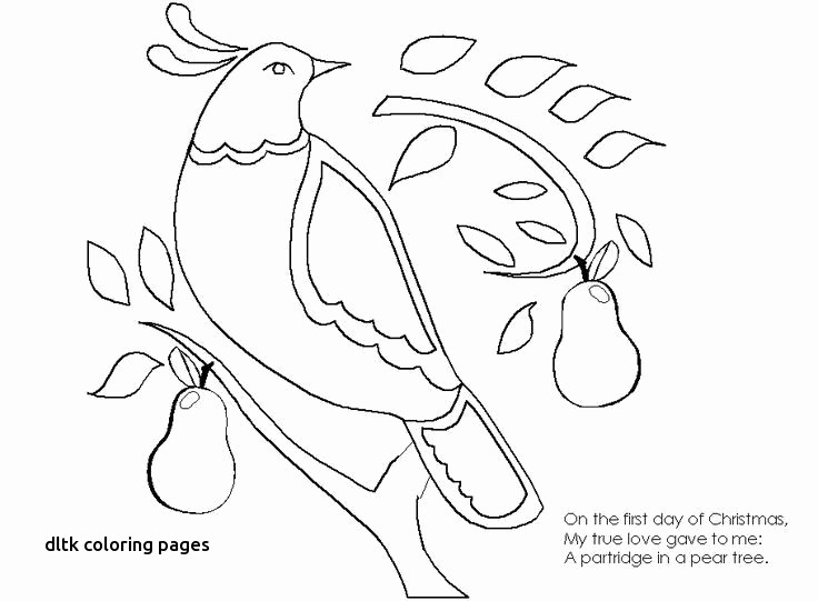 Dltk Kids Coloring Pages
 Christmas Coloring Pages Nutcracker Verpa Home Design Ideas