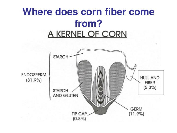 Does Corn Have Fiber
 PPT Design and Scale Up of Corn Fiber and Corn Stover
