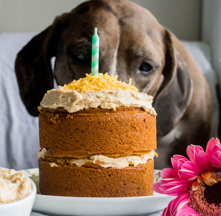 Dog Birthday Cake Recipe Easy
 14 Dog Birthday Cake & Cupcake Homemade Recipes