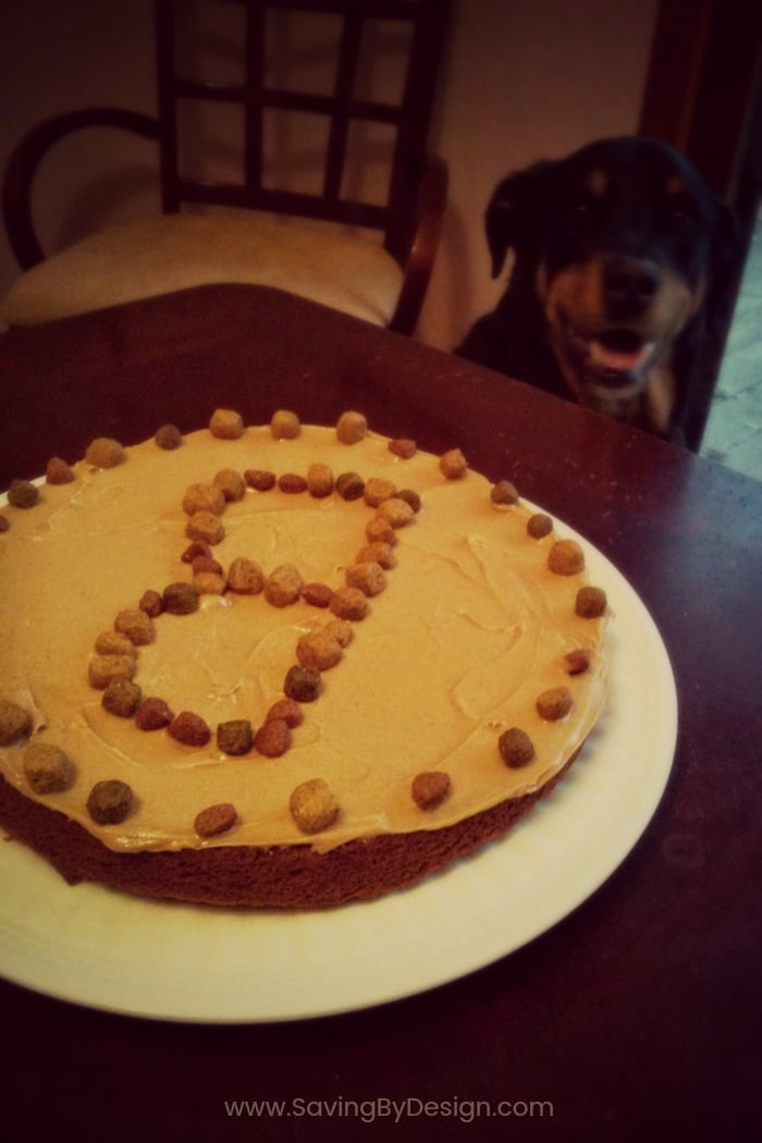 Dog Birthday Cake Recipe Easy
 Dog Birthday Cake Recipe A Special Treat for Your Dog s