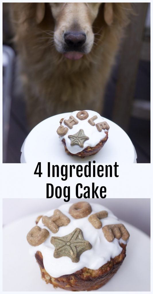 Dog Birthday Cake Recipe Easy
 The Easiest Dog Birthday Cake Recipe for a Dog Birthday