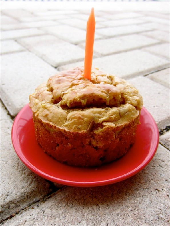 Dog Birthday Cake Recipe Grain Free
 Grain Free Peanut Butter Apple Doggy Cake