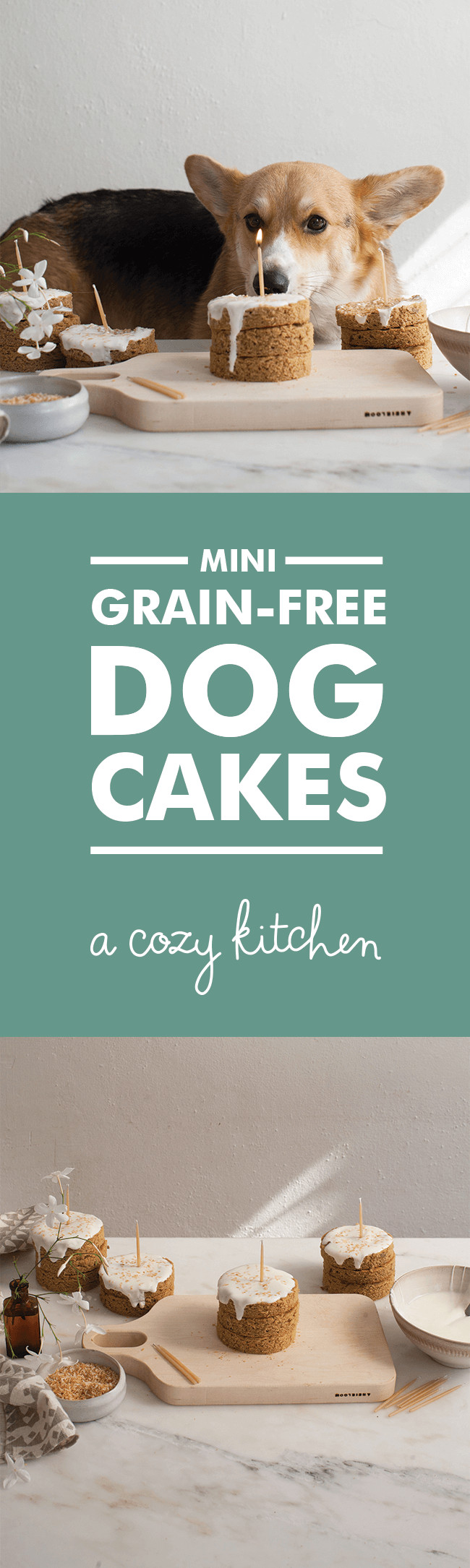 Dog Birthday Cake Recipe Grain Free
 Grain Free Dog Cake Recipe A Cozy Kitchen