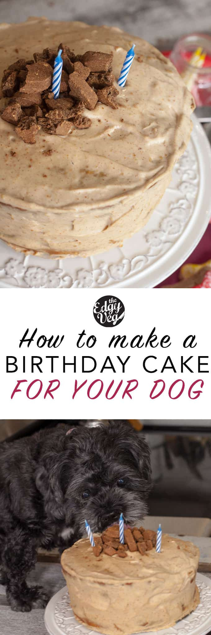 Dog Birthday Cake Recipe Grain Free
 Dog Friendly Birthday Cake