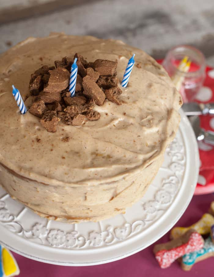 Dog Birthday Cake Recipe Grain Free
 Dog Friendly Birthday Cake