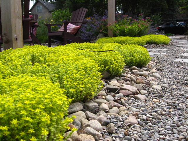 Drought Tolerant Plants Landscape Design
 Drought Tolerant Green Gardens